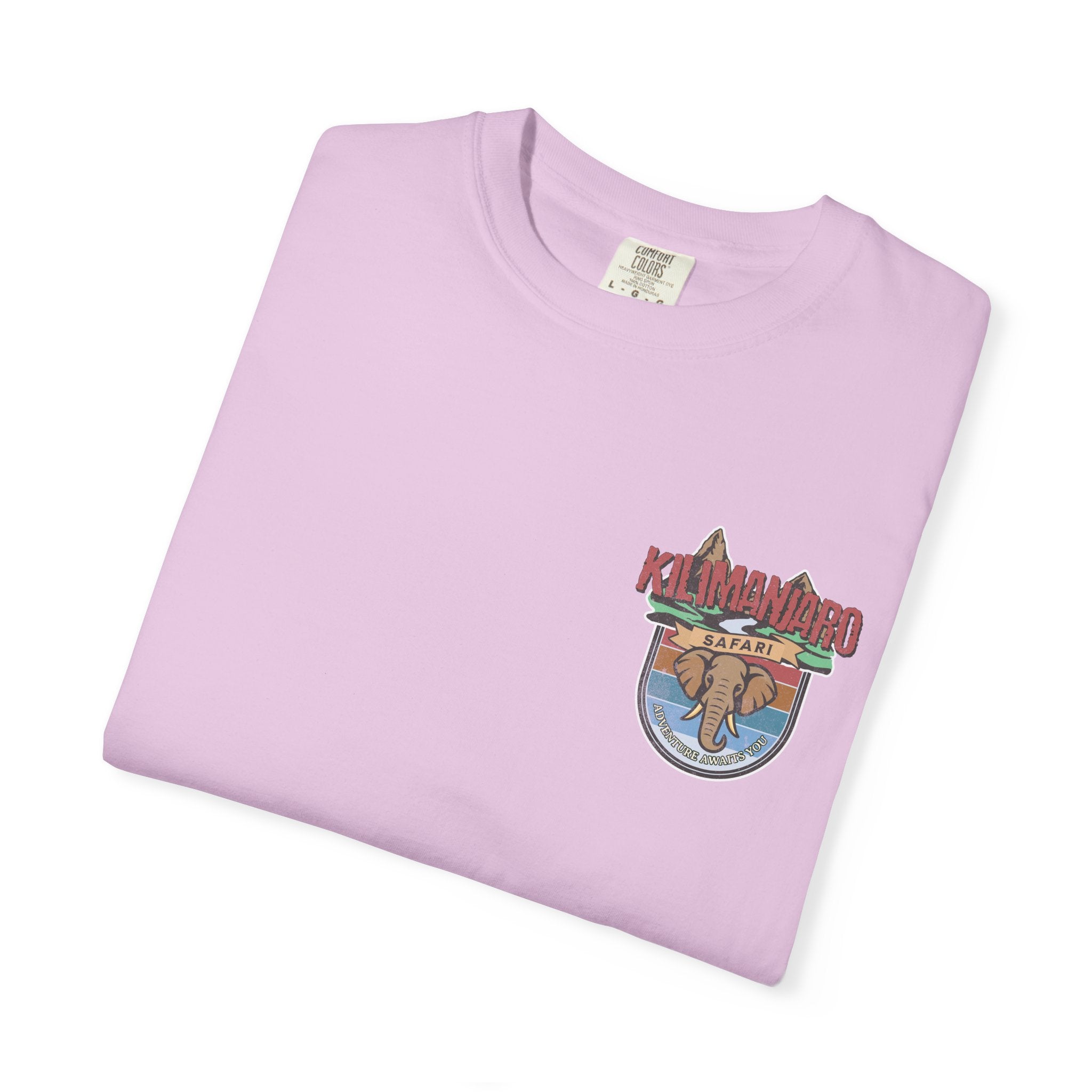 Kilimanjaro Safari Expedition