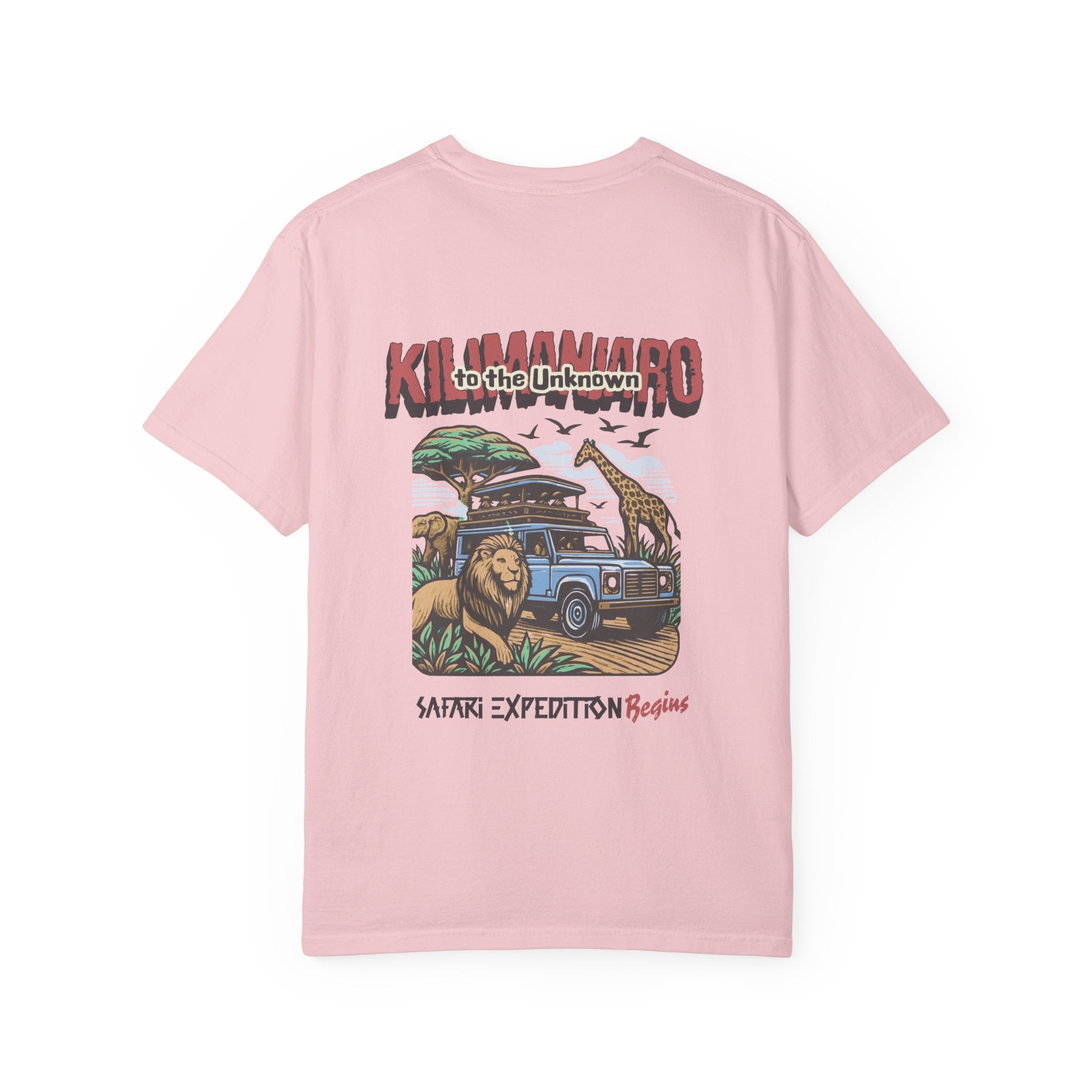 Kilimanjaro Safari Expedition